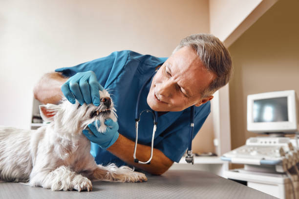 Best Urgent Dental Care  in Pawhuska, OK